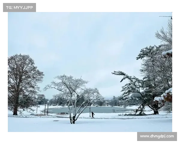 冬日湖畔的幻境:寻觅雪花中的静谧与生机 冬日湖畔的幻境:寻觅雪花中的静谧与生机